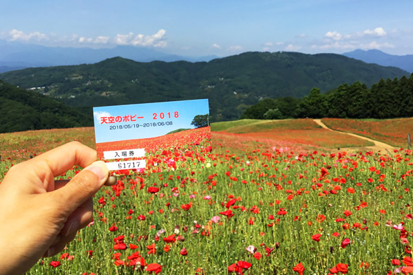 埼玉県皆野町と東秩父村の天空のポピーとチケット