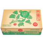 ゴールドパック北海道野菜の青汁ケース